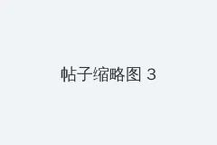 手机党的头像